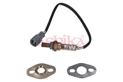 SONDA LAMBDA ASHIKA 43T06