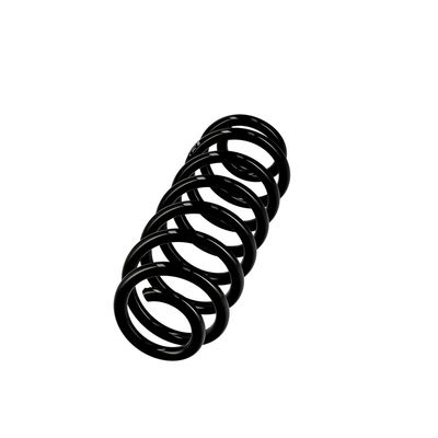 ARC SPIRAL EIBACH R10148 14