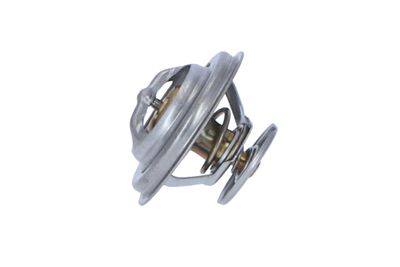 TERMOSTAT LICHID RACIRE NRF 725073 17