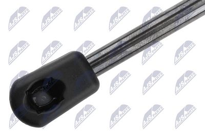 AMORTIZOR PORTBAGAJ NTY AEVW118 1