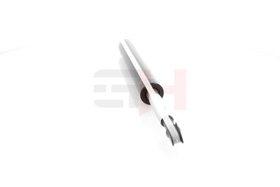 AMORTIZOR GH GH344794 19