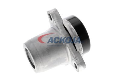 INTINZATOR CUREA CUREA DISTRIBUTIE ACKOJA A520078 32