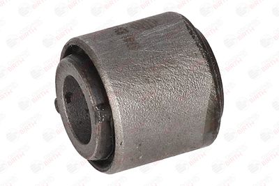 BUCSA ARBORE DE DIRECTIE BIRTH 4741 12