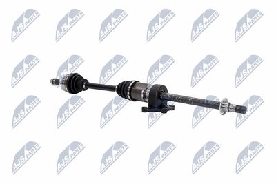 PLANETARA NTY NPWBM021 29