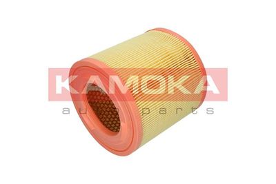 Air Filter F253301