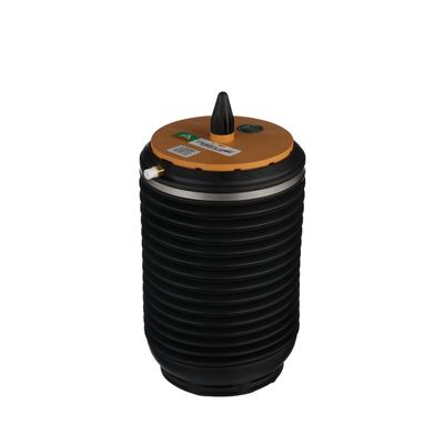 LUFTFEDER FAHRWERK Arnott A3891 31