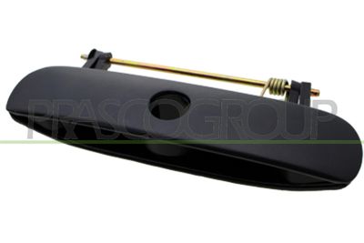 MANER USA PRASCO VG0238341