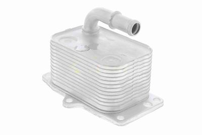 ÖLKüHLER MOTORöL VEMO V42600005 7