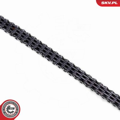 CHIT LANT DE DISTRIBUTIE ESEN SKV 21SKV262 2