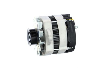 GENERATOR / ALTERNATOR REMANTE 011003000081R 13