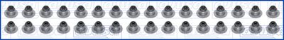 Klepsteel pakking/afdichtings set