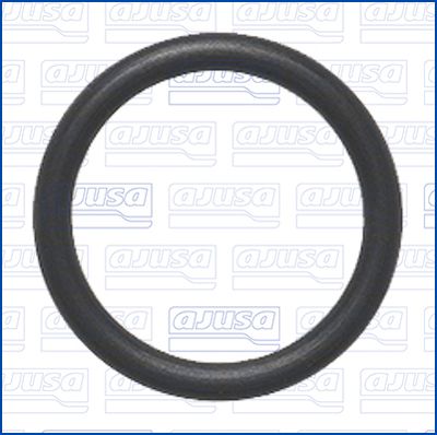 DICHTRING STEUERKETTENSPANNER AJUSA 16565100