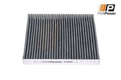 filtras, salono oras 4F0091C ProfiPower