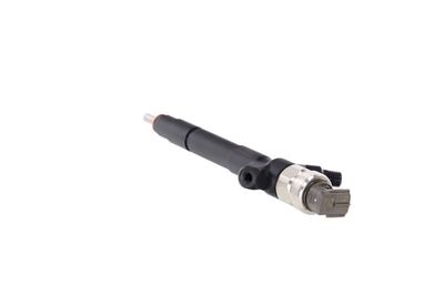 INJECTOR REMANTE 002003000085R 21