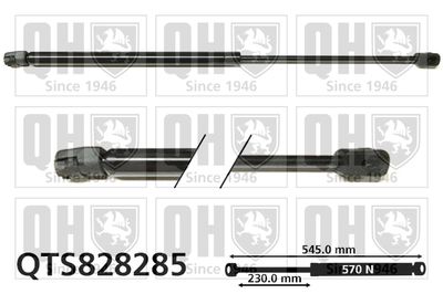 QUINTON HAZELL QTS828285 Амортизатор багажника и капота  для RENAULT MEGANE II универсал (KM0/1_) 1.9 dCi