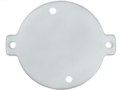 AS-PL Starterdeckel, Vergaser