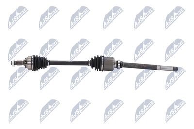 PLANETARA NTY NPWCT009 24