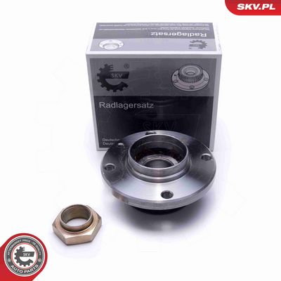 SET RULMENT ROATA ESEN SKV 29SKV448