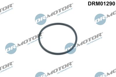 Уплотнительное кольцо, натяжное приспособление цепи привода Dr.Motor Automotive DRM01290 для LAND ROVER DEFENDER