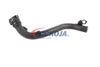 FURTUN EAR SUPRAALIMENTARE ACKOJA A380387 33