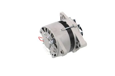 GENERATOR / ALTERNATOR REMANTE 011003000065R 41