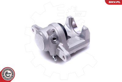 Brake Caliper 42SKV444