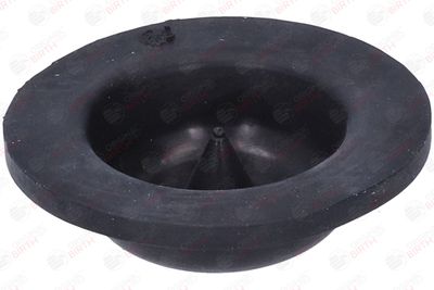 SAIBA ARC BIRTH 53805 5