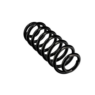 ARC SPIRAL EIBACH R10673 11