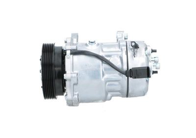 COMPRESOR CLIMATIZARE BV PSH 090305054876 1