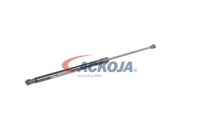 AMORTIZOR PORTBAGAJ ACKOJA A380339 56