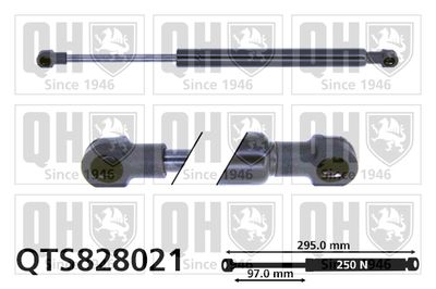QUINTON HAZELL QTS828021 Амортизатор багажника и капота  для BMW Z4 (Бмв З4)