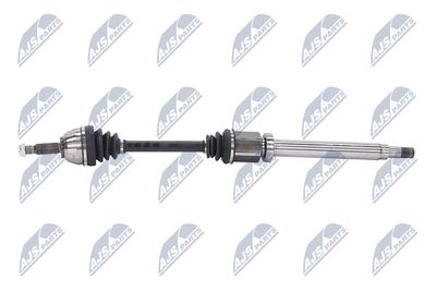 PLANETARA NTY NPWFR056 25