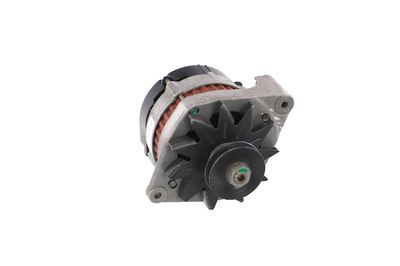 GENERATOR / ALTERNATOR REMANTE 011003000079R 58