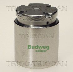 TRISCAN 8170 233821 Комплектуючі гальмівного супорта для MG (Мджи)