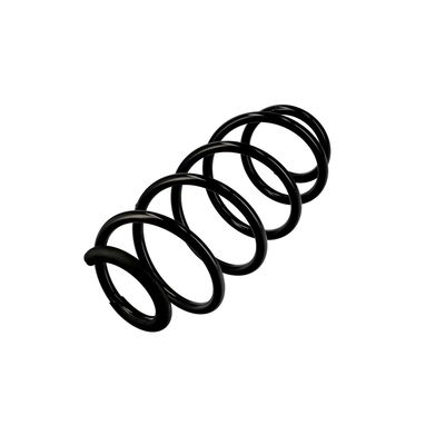 ARC SPIRAL EIBACH R10067 3