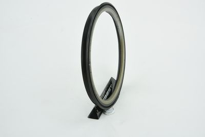 INEL DE ETANSARE BUTUC ROATA FEBEST 95BCY88750407X 17