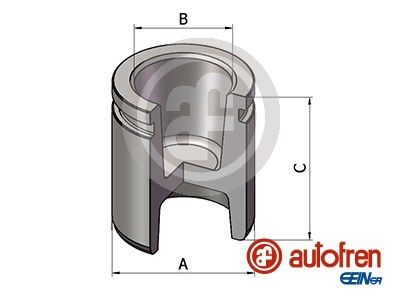 PISTON ETRIER FRANA