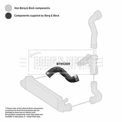 Charge Air Hose Borg & Beck BTH1359