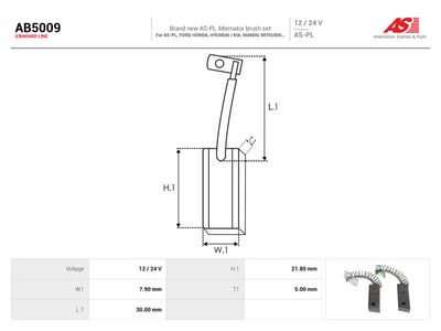 Kullbørste, dynamo AS-PL AB5009
