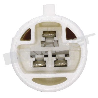 LAMBDASONDE WALKER PRODUCTS 25023051 2