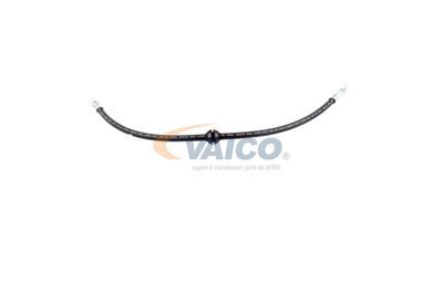 FURTUN FRANA VAICO V201909 35