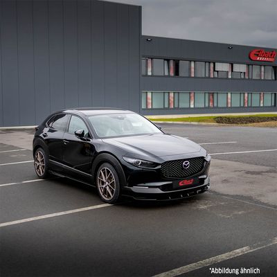 SET SUSPENSIE ARCURI ELICOIDALE EIBACH E10550220122 1