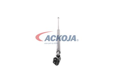 AMORTIZOR PORTBAGAJ ACKOJA A320092 49