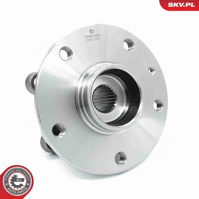 SET RULMENT ROATA ESEN SKV 29SKV563 3