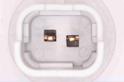 KENNZEICHENLEUCHTE VEMO V42840004 2