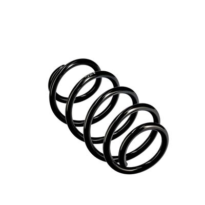 ARC SPIRAL EIBACH R10769 11