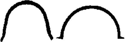 CORTECO Dichtung, Ölwanne