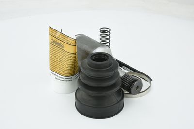 SET ARTICULATIE PLANETARA FEBEST 2411KANIILH 34