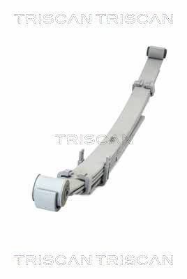 TRISCAN Federnpaket