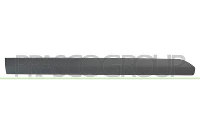 ELEMENTE DECORATIVE/PROTECTIE PORTIERA PRASCO FD6401403